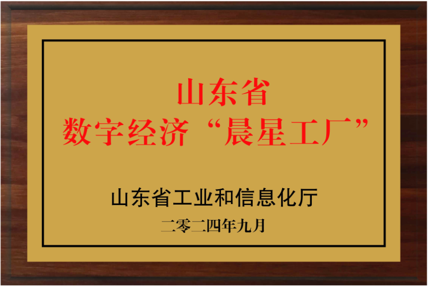 山東省數(shù)字經(jīng)濟晨星工廠
